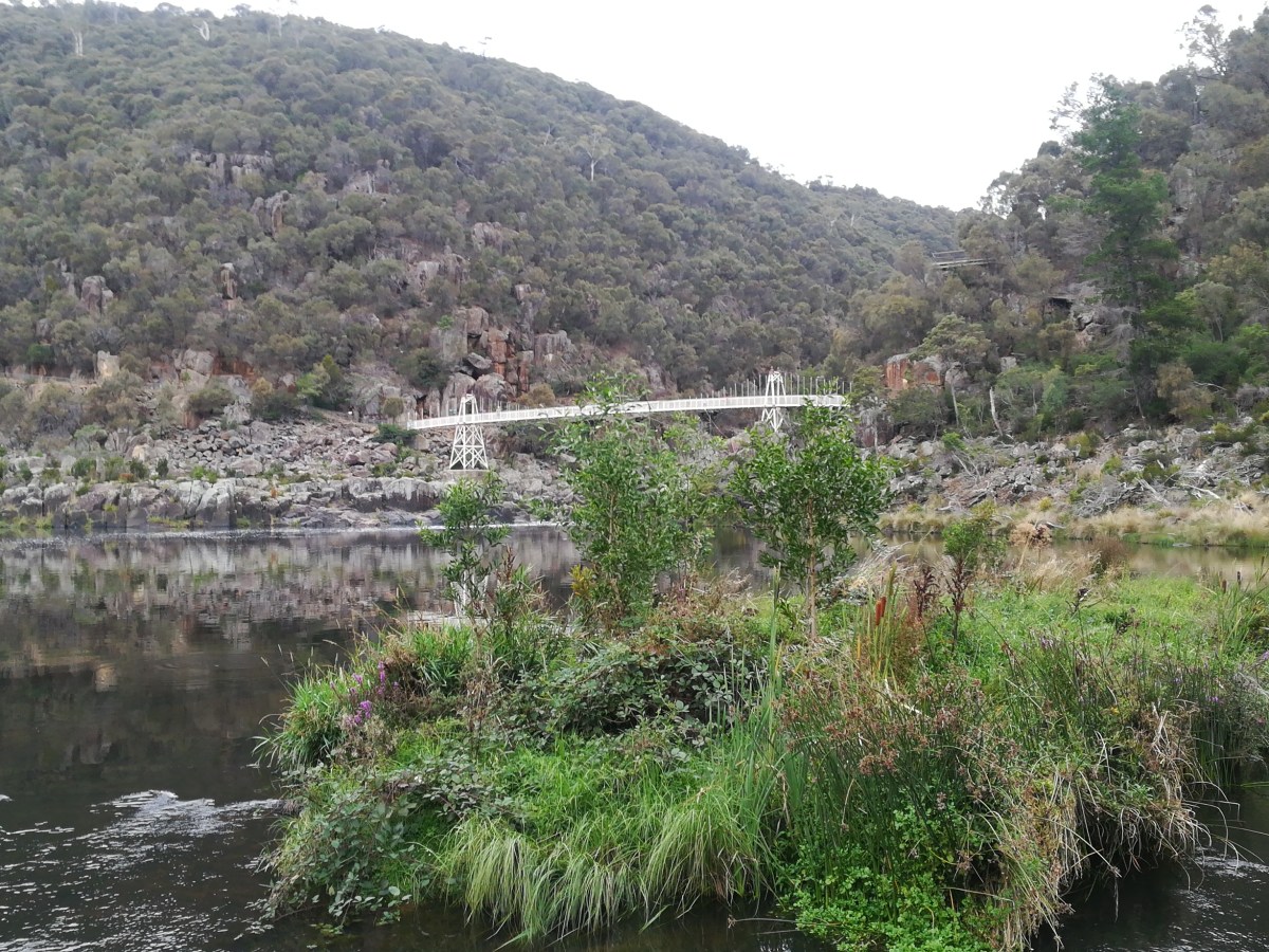 O dia em que a porca torceu o&nbsp;rabo