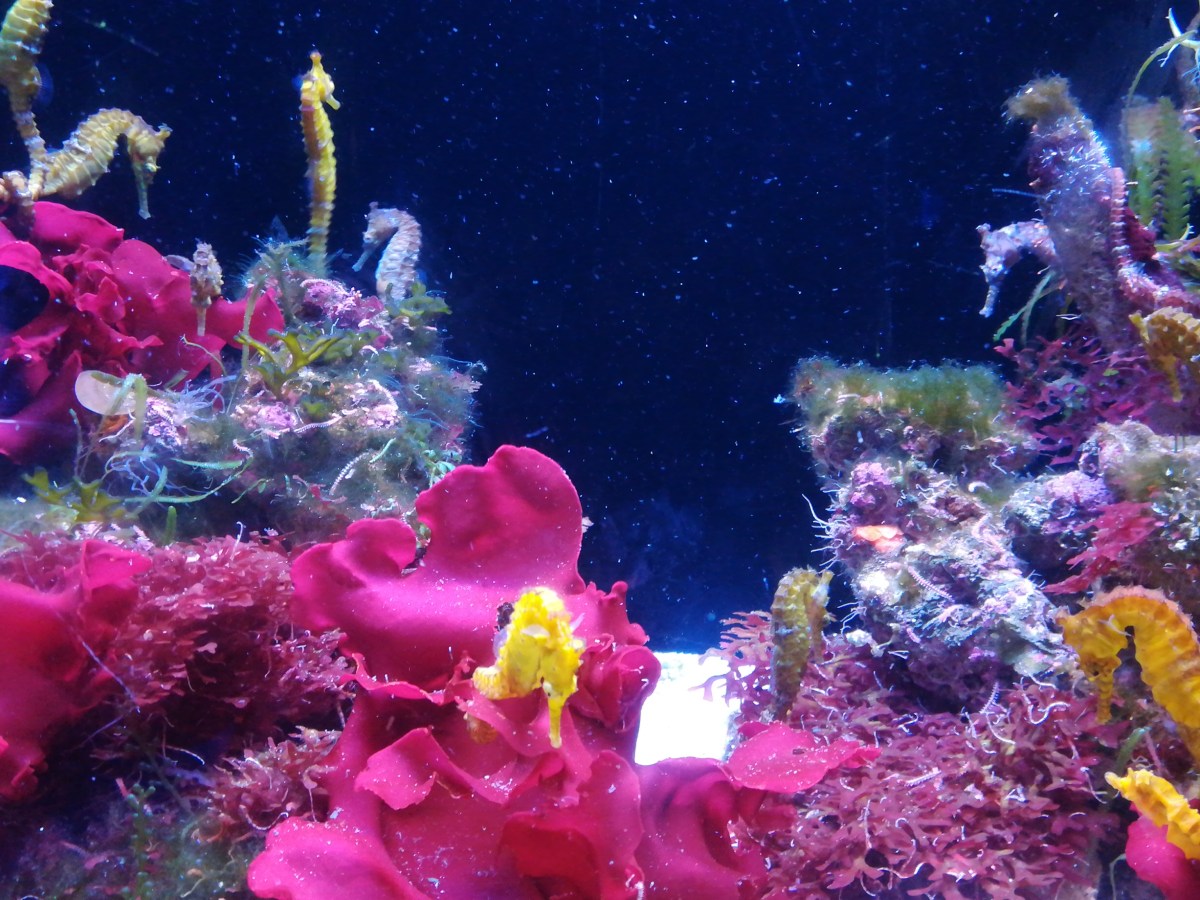 E que tal foi viajar&nbsp;sozinha?