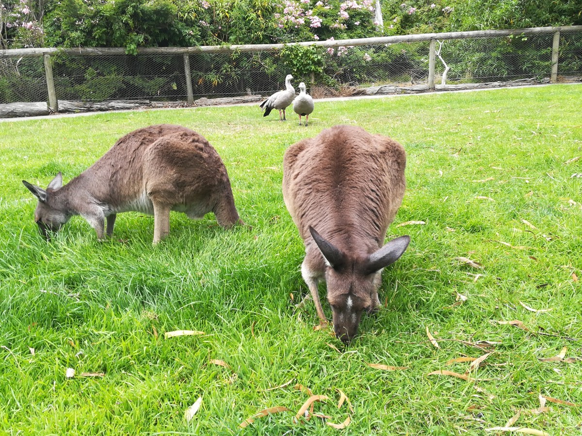 Farias algo de modo&nbsp;diferente?